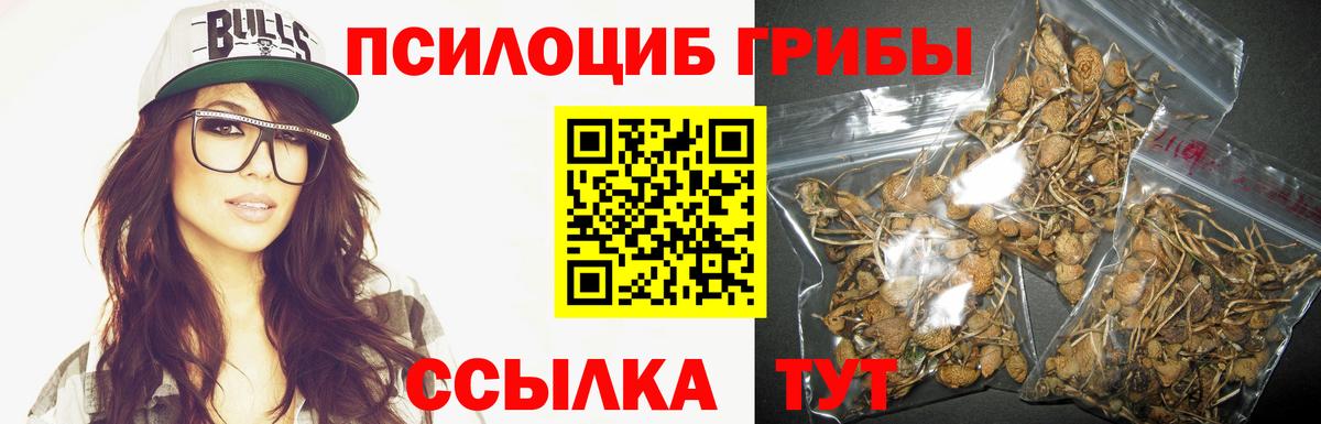 Владимир  Галлюциногенные грибы GOLDEN TEACHER  Вход с VPN  Галлюциногенные грибы Psilocybine cubensis 
